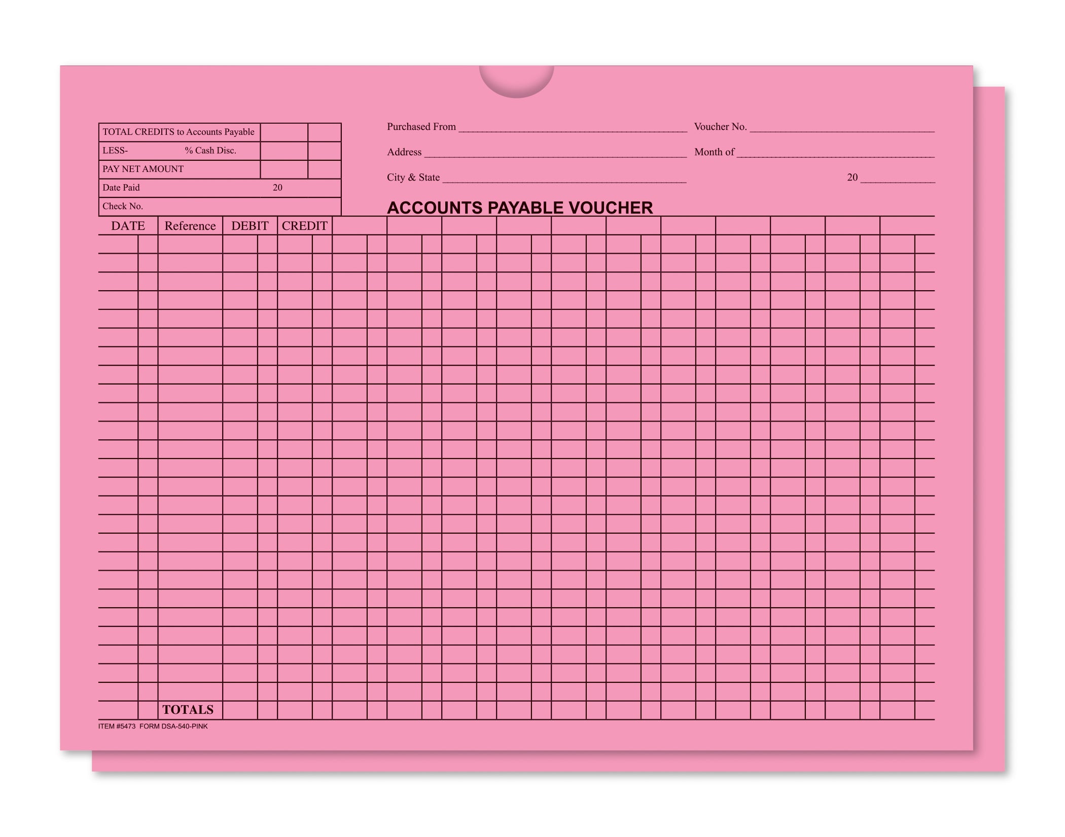 Accounts Payable Voucher Env. - DSA-540 PINK - Qty. 100