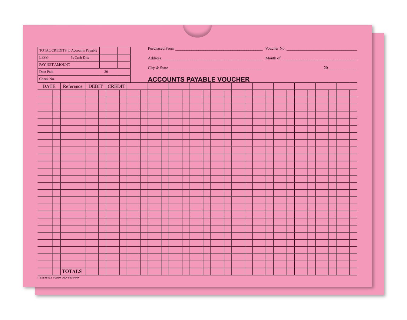 Accounts Payable Voucher Env. - DSA-540 PINK - Qty. 500
