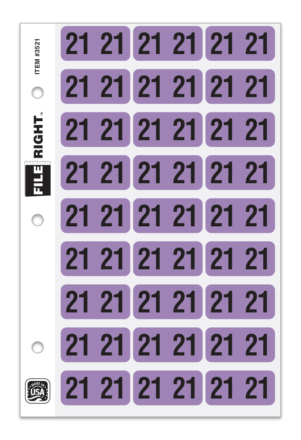 Pack of 270 Year 2021 in Ring book Style