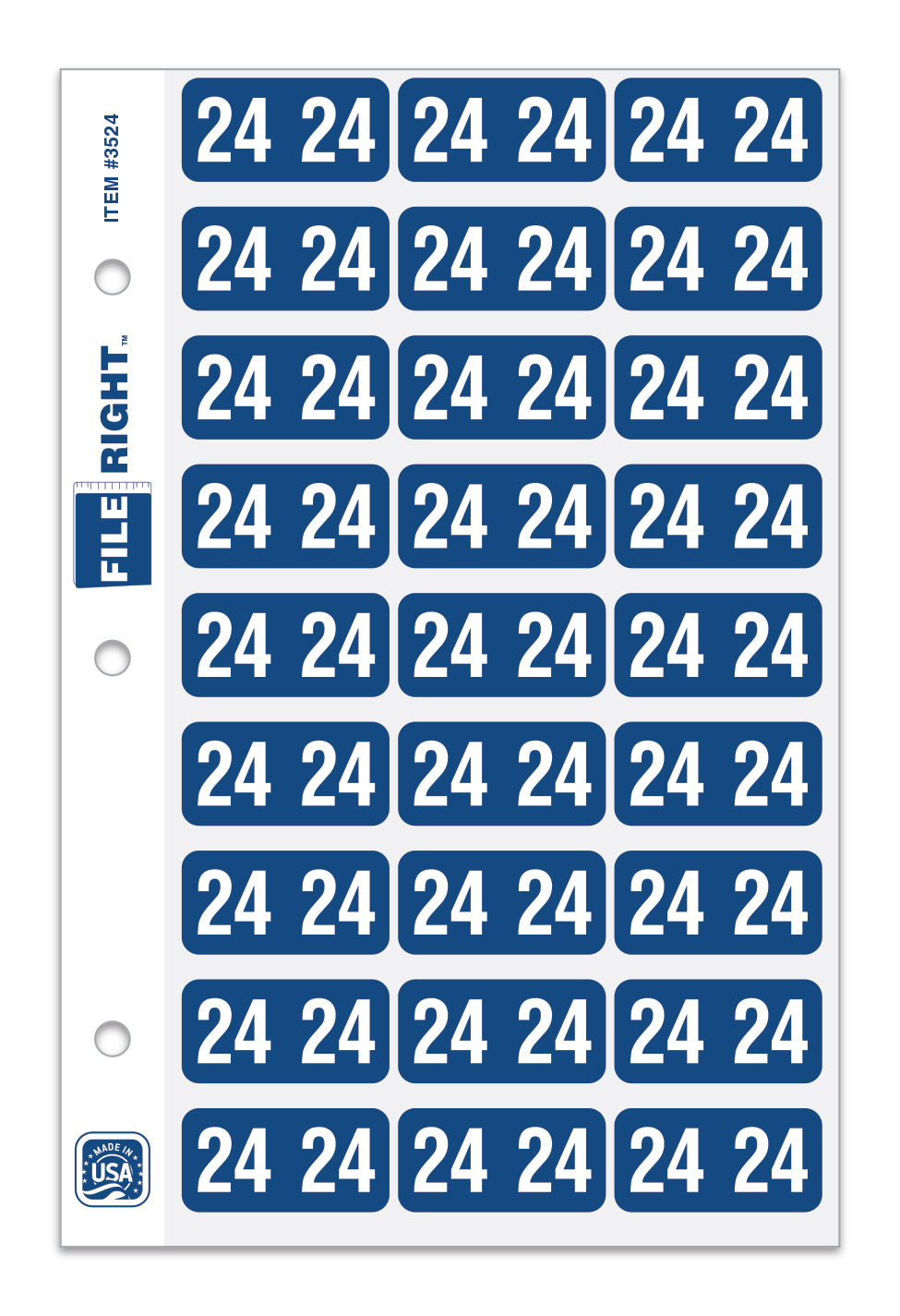 Pack of 270 Year 2024 in Ring book Style