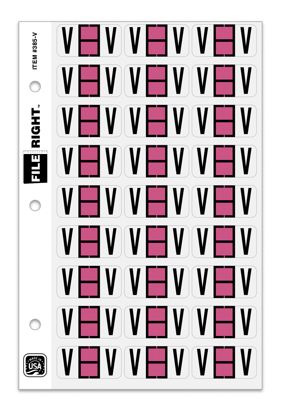 Color-Code Alphabet Letter V, Ring Book, Pkg. of 270 Labels | File Rig