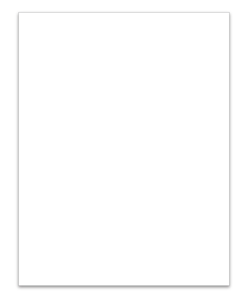 8.5" x 11" Ext. Lsr Window Sticker, BLANK, P/A (100)